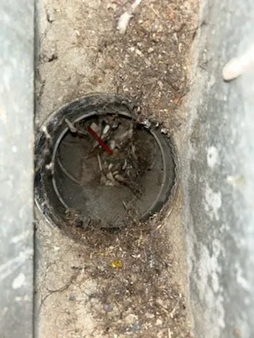 Dryer Vent Cleaning Walpole, MA